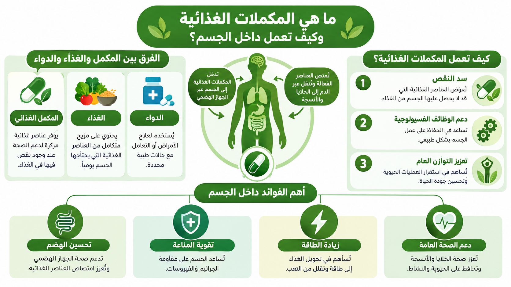 إنفوجرافيك توضيحي يشرح تعريف المكملات الغذائية، كيفية عملها داخل الجسم، والفرق بينها وبين الغذاء والدواء.